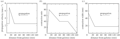 Quantification Of Gastric Emptying Caused By Impaired