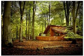 You can refine your search using the menu on the left. Log Cabin In Black Forest Germany Http Www Quirkyaccom Com Blackwood Forest Forest Cabin Cabin