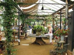 Petersh Greenhouse Greenhouse Cafe Greenhouse Plans