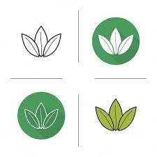 Green Tea Leaves Icons Vector Tea Leaves Illustration Tea Logo Tea Leaves