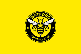 Revealed at a fans' forum in november, it sounded as if the hornets had announced they would be changing their badge from. More Than 4000 Entries New Official Watford Fc Logo Design Competition Best Of Footy Headlines
