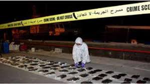 Image result for Muhurraq 2012 Cygnet