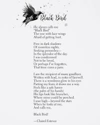Bird Bird Bird Bird Is The Word Lyrics Black Bird By Clairel Estevez Www Thewishfulbox Com Poetry Words Love Quotes Poems Beautifulwords Poet Poets Bird Quotes Poetry Beautiful Words