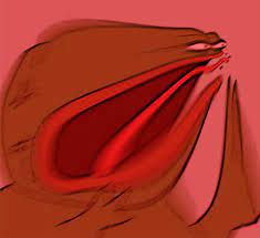 Ghim Tren Pepe The Frog