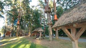 Maybe you would like to learn more about one of these? Park Linowy W Augustowie Jedyna Taka Baza Atrakcje Augustow