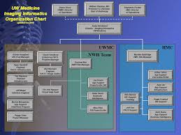 radiology it organization chart