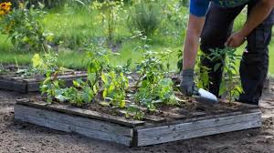 Gemusebeet Aus Paletten Selber Bauen Anleitung Diybook De Gemusebeet Gemuse Beet Anlegen Palette Beet