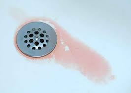 They thrive in warm damp humid conditions and their spores can survive in severe environmental conditions. You Might Have Noticed This Red Mold On Your Shower Head Don T Drink The Water Mold In Bathroom Bathroom Cleaning Mold Remover