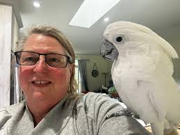 Taxidermist recommendation for fowl in Ontario?