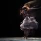 Romeo and Juliet - Theatrical Production en Spokane Entradas - 04/10/2025 7:30 PM