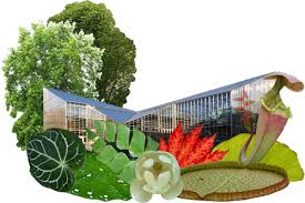 Der botanische garten hat das ganze jahr über geöffnet. Willkommen Im Botanischen Garten Der Universitat Freiburg Botanischer Garten