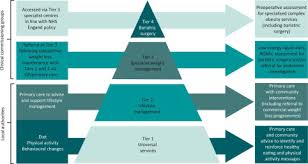 Image result for Obesity Management