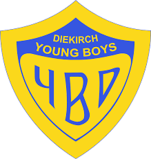 Jun 04, 2021 · i am integrating push notifications in my chat app. Datei Fcm Young Boys Diekirch Logo Svg Wikipedia