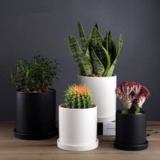 Maybe you would like to learn more about one of these? Wholesale Indoor Wood Stand Black And White Ceramic Flower Pots For Plants China Mini Flower Pot And Plant Clay Pot Price Made In China Com