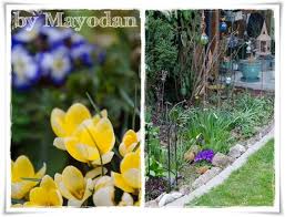 Ab mitte märz werden außerdem frühkartoffeln vorgekeimt: Ruckblick Auf Den Garten Im Marz Garten Blumenbeet Pflanzen