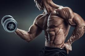 Fitness Wallpaper Download Free Full Hd Backgrounds For Desktop Computers And Smartphones In Any Resolution Desktop Fitness Quiz Arm Workout Bicep Muscle