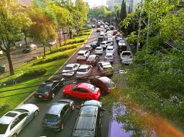 Vehículos y placas en cdmx, edomex, hidalgo y puebla yeseline trejo. Ciudad De Mexico Reactiva Doble Hoy No Circula Ultimas Noticias Forbes Mexico