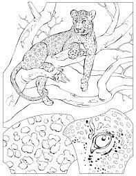 Together, say and read the names of the animals. Leopard Coloring Page Animals Town Free Leopard Color Sheet