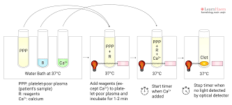 Image result for Modified Apt Test