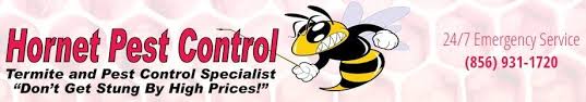 Arrow pest control offers howell, new jersey residents with the solutions needed to eliminate problems with insects, rodents, and wildlife in both residential and commercial properties. Top 10 Best Pest Exterminators In Berlin Nj Angie S List