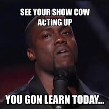 20 Of The Internet S Best Livestock Memes Ranch House Designs Inc