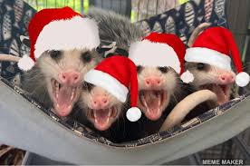 Green Rocks Rescue Inc added a...