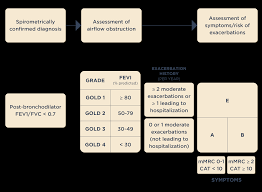 Image result for COPD Exacerbation Decision Tool