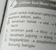 Kebun merupakan ekosistem buatan, yang menyebabkan rantai makanan di dalamya cukup rendah karena jumlah makhluk hidup yang juga rendah. Contoh Rantai Makanan Yang Terdapat Pada Ekosistem Kebun Yaitu Dan Penjelasan Brainly Co Id