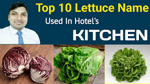As compared to other types of lettuce, mache has more body and combines well with any vegetable. Name Of Lettuce Types Of Lettuce Lettuce Names Leafy Vegetable Hindi Youtube