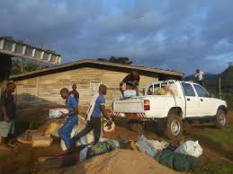 Image result for Orthopichonia seretii