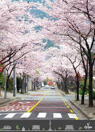 Seul Corea Del Sur Viajar Travel Viagem Turismo Trip Amoviajar Brasil Love Viajarfazbe Corea Del Sur Turismo Viajar A Corea Del Sur Corea Del Sur Seul