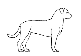 How To Draw Dogs Step By Step Easy Animals 2 Draw Dog Drawing Dog Steps Animal Drawings