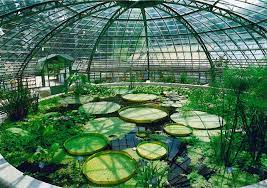 Der botanische garten der universität basel ist öffentlich zugänglich und gehört zum botanischen angelegt wurde der garten bereits um 1589 herum und ist somit der älteste botanische garten der. Geschichte Botanischer Garten