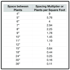 Square Foot Garden Spacing Careerview Info