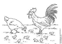 Kleurplaat Hen Haan En Kuikens Afb 6785 Rooster Coloring Pages Chickens