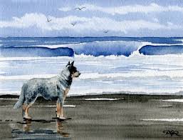 Black And White Cattle Dog Long Hair Australian Cattle Dog Art Print Australian Cattle Dog At Etsy In 2020 Beach Dog Art Dog Print Art Dog Beach