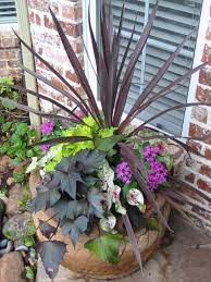 Full Sun Container Plants Container Plants Garden Containers