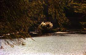 从水里上来的人大约二十岁上下 个头不高 皮肤黝黑 身体敦实健壮 一看就是经常锻炼的人 脸上带着干净的微笑 锐利有神 的眼眸中透出醇和的善意 略显凌乱的胡茬上挂着的水珠在落日的余光下折射出不同的颜色 整个人显得神秘又有趣 你怎么在这里 那人大声说道