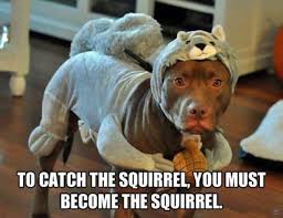 Somehow these quotes bring home the fact that we do think about our. 24 Hilarious Dogs With Captions To Brighten Your Day Playbarkrun