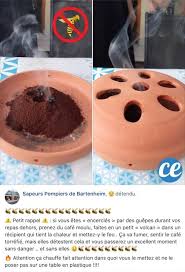 Debarrassez Vous Des Guepes En Brulant Du Cafe Moulu Voici Comment Dessert Cafe Moulu Cafe