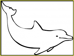 100 gambar ikan segala jenis kartun hias air laut tawar nemo via hidupsimpel.com. 9999 Sketsa Gambar Ikan Hias Tawar Laut Lengkap Nemo Hiu Paus Lele Koi Mas Lumba Dll Sindunesia