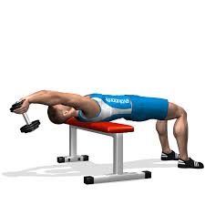 Allenamento Pettorali Pullover Manubrio Inizio Allenamenti Dei Pettorali Esercizi Allenamento E Allenamenti In Palestra