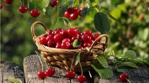 Daca rezonezi cu modul in care este. Iunie 2019 Citeste Toate Articolele Despre Iunie 2019 Pagina 1 Din 1 Antena 1