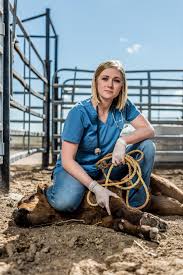 call the vet! rural veterinary medicine