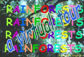 Rainforests A Virtual Tour Virtual Field Trips Virtual School Field Trip