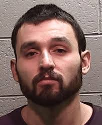 The LINK-Letter Vol. 12, No. 2 February 2019