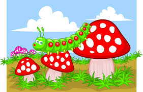 Das lied von der raupe nimmersatt mit diesem lied können kinder spielerisch die wochentage, die. 1 Juni Um 8 30 Uhr I Workshop Die Kleine Raupe Nimmersatt Centre Franco Allemand De Provence