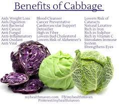 Pin On Cancer Prevention