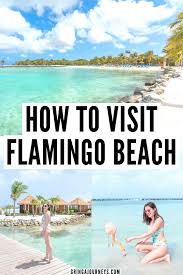 How To Visit Flamingo Beach Aruba Tips For First Timers In 2020 Flamingo Beach Aruba Aruba Resorts Caribbean Travel