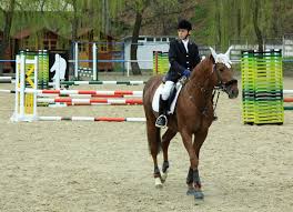 Etichetat baza hipică, baza hipica virgil barbuceanu, concurs internațional ecvestru, concursul internațional ecvestru trofeul virgil bărbuceanu sezonul ecvestru 2016 debutează anul acesta la baza hipica „virgil barbuceanu din piatra neamt cu întrecerile de sărituri peste obstacole din cadrul. Programul De La Baza Hipica Virgil Barbuceanu Piatra Neamt